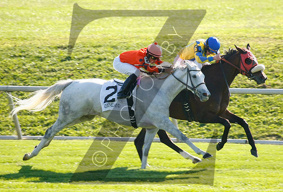 Tapitsfly with Jose Lezcano up wins the 2012 First Ladyfor trainer Dale Romans and owner Frank L Jones, 2012 Keeneland Fall Meet