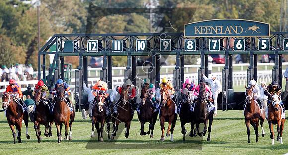 Racing scenics, Starting Gate,  2012  Shadwell Turf Mile , 2012 Keeneland Fall Meet
