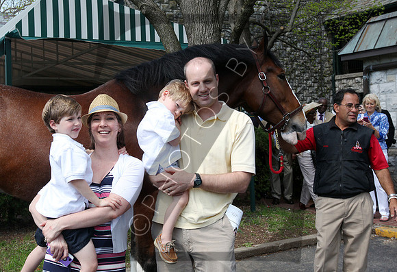 Budweiser Clydesdales during the 2013 Keeneland Spring Meet