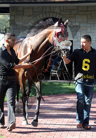 Daisy Devine,  the 2012 First Lady , 2012 Keeneland Fall Meet