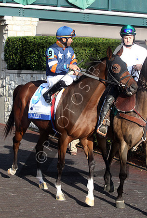 Ol Army,  2012  Shadwell Turf Mile , 2012 Keeneland Fall Meet