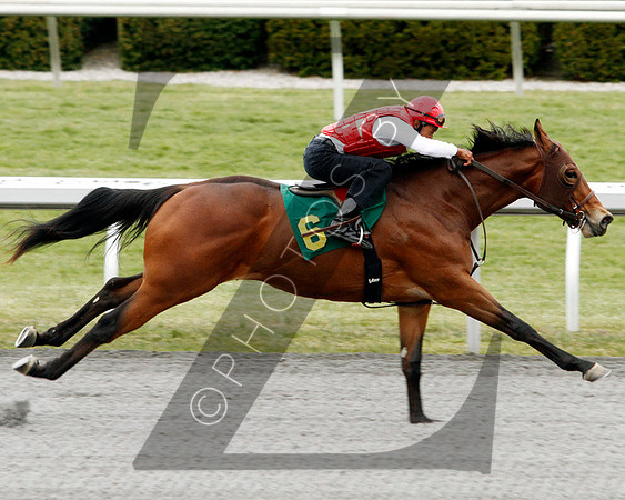 Hip6KS4-13KLD84