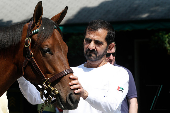Maktoum,MohammedZ87