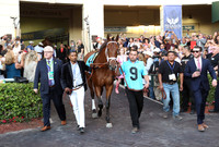 2017 Pegasus World Cup