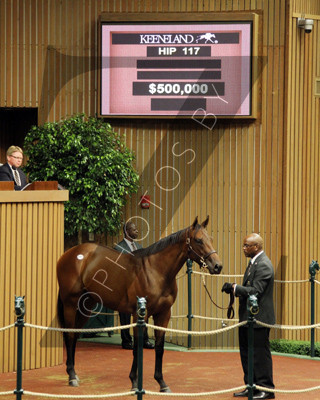 Hip117KS9-12KLD25