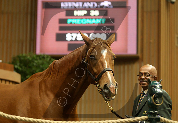Hip36KLD1-14KLD90