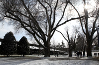 2014 Keeneland January Sale