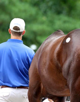 2016 Keeneland September Sale