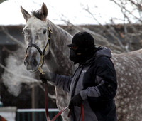 2014 Keeneland January Sale