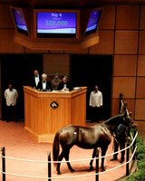 Hip4FTK11-11Z43