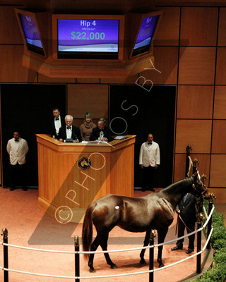 Hip4FTK11-11Z43