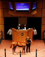 Hip8FTK11-11Z15