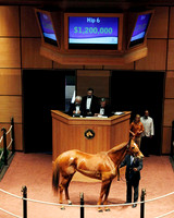 Hip6FTK11-11Z62