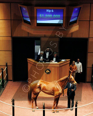 Hip6FTK11-11Z62