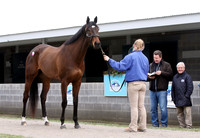 Hip9McCormackJKLD88