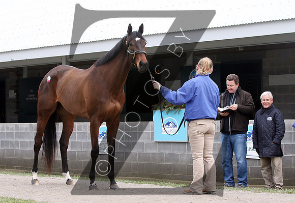Hip9McCormackJKLD88