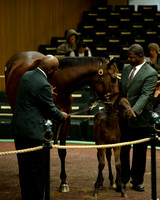 Hip76KS1-16KLD3