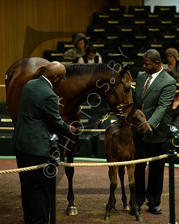 Hip76KS1-16KLD3