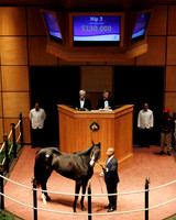 Hip3FTK11-11Z35