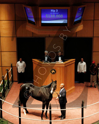 Hip3FTK11-11Z35