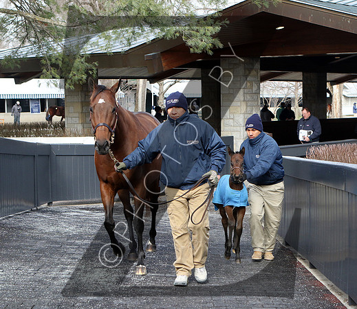 Hip76KS1-16KLD39