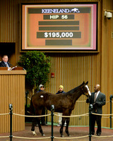 Hip56KS1-16KLD