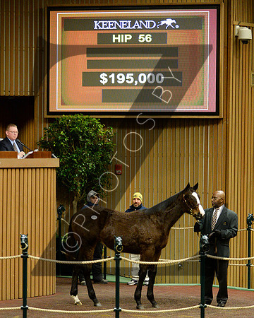 Hip56KS1-16KLD