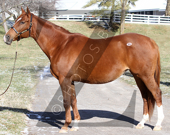 Hip36KS11-14KLD67