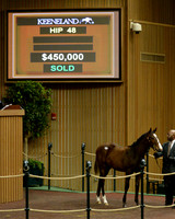 Hip48KS1-16KLD