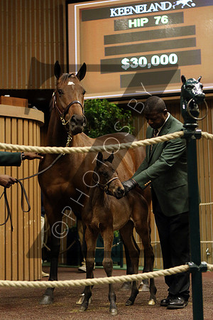 Hip76KS1-16KLD23
