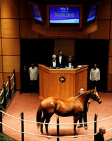 Hip5FTK11-11Z51