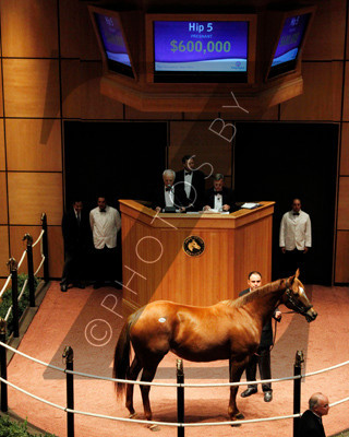Hip5FTK11-11Z51